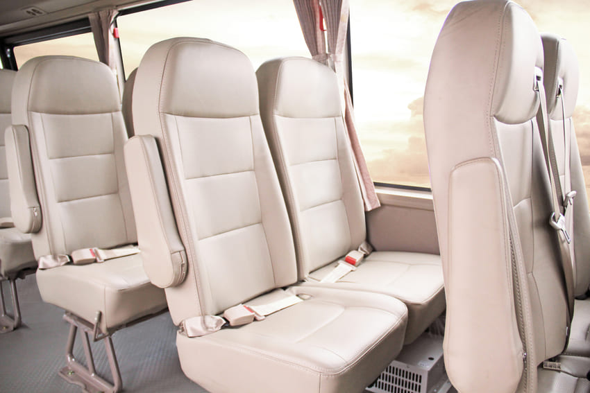 Cliquez pour voir la photo